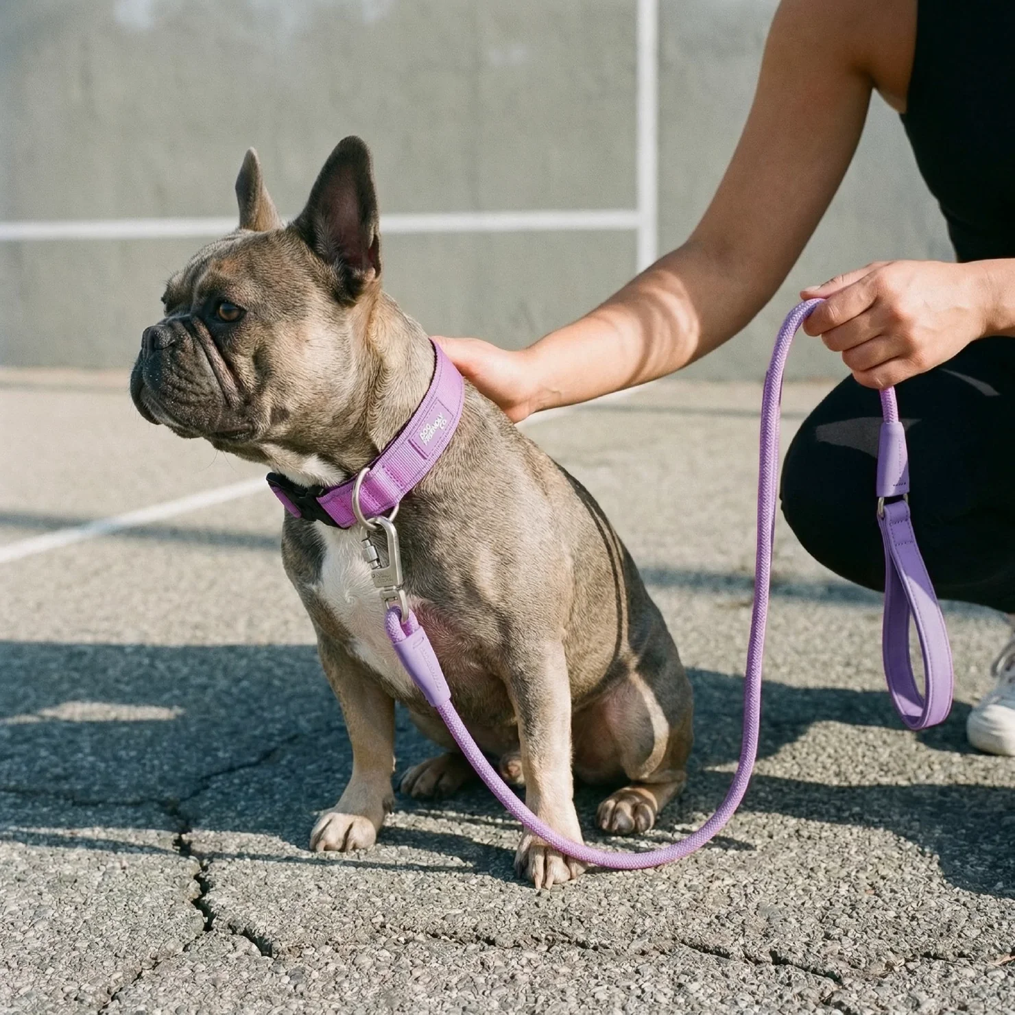 Dog Lovers Pack - Purple - Image 8