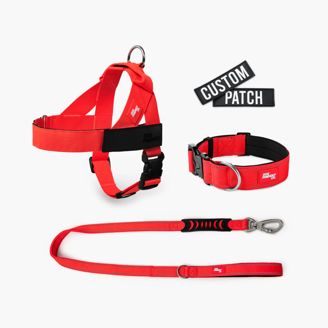 Dog Lovers Pack - Red - Image 10