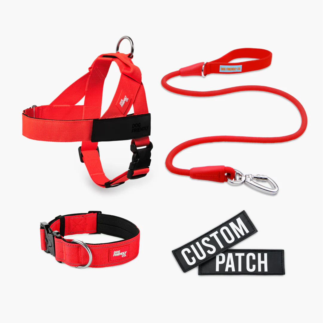 Dog Lovers Pack - Red - Image 16