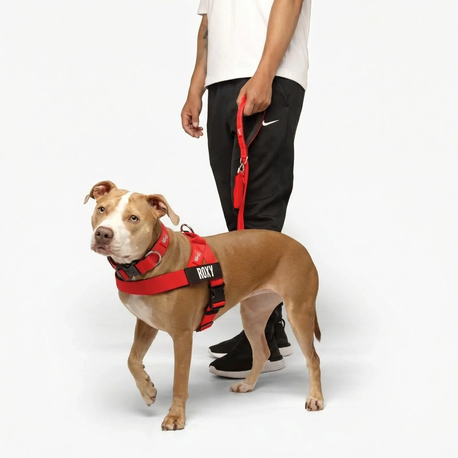 Dog Lovers Pack - Red - Image 4