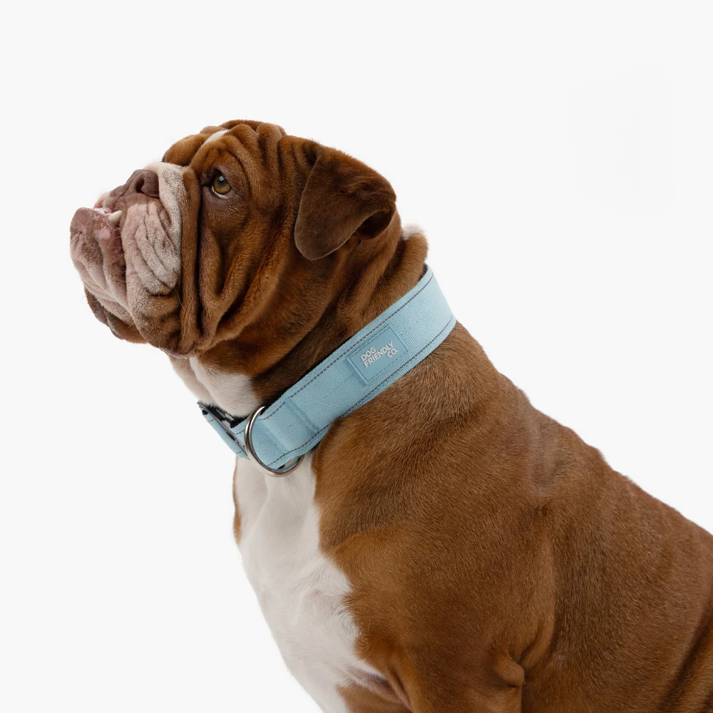 Dog Lovers Pack - Sky Blue - Image 3