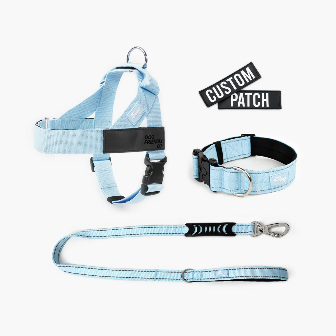 Dog Lovers Pack - Sky Blue - Image 9