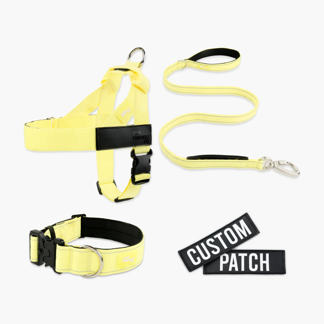 Dog Lovers Pack - Yellow - Image 10