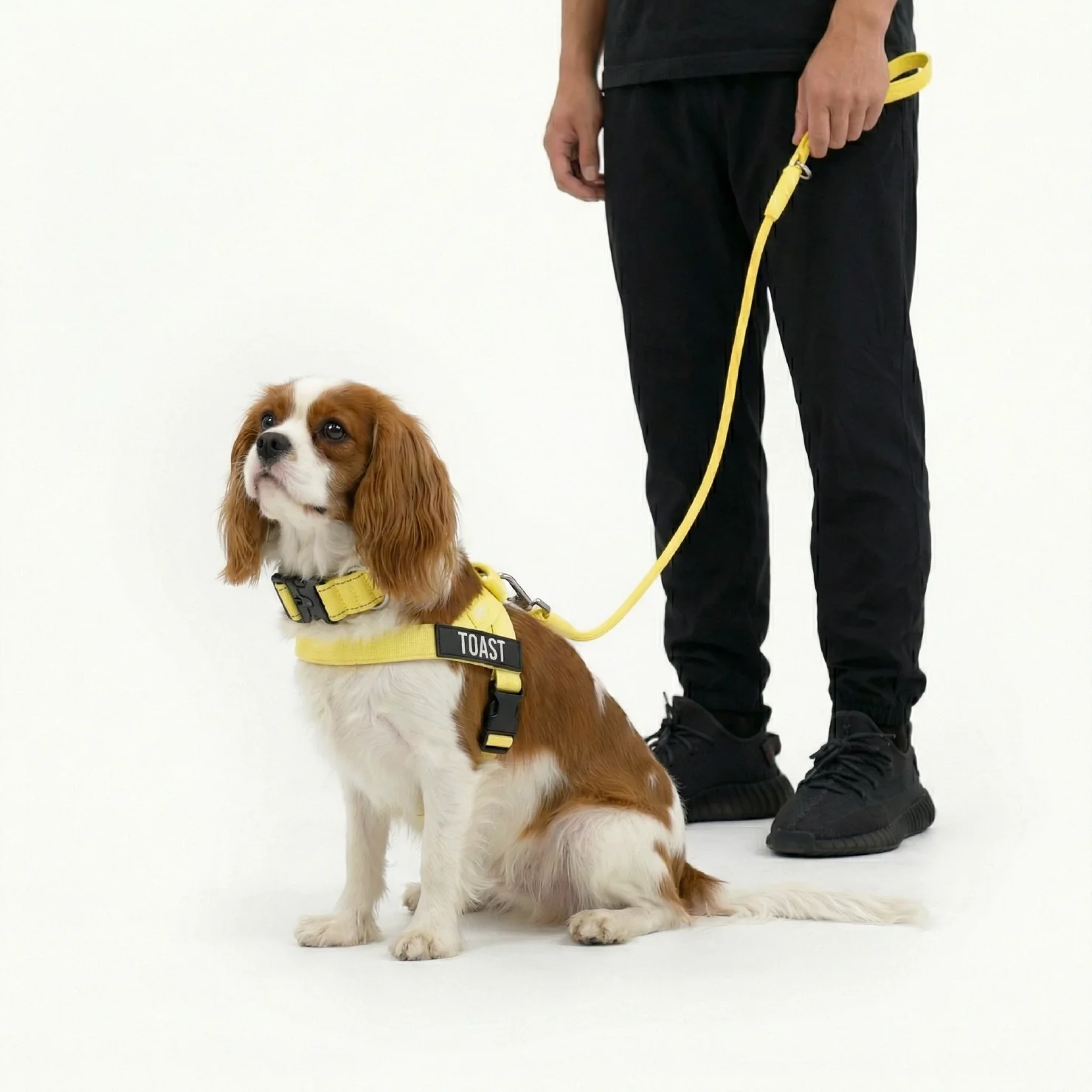 Dog Lovers Pack - Yellow - Image 5