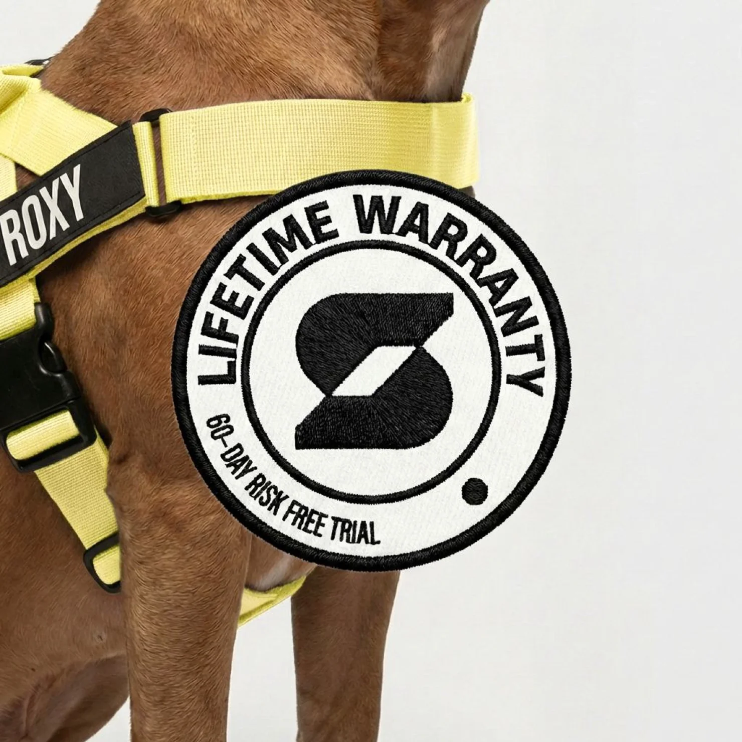 Dog Lovers Pack - Yellow - Image 9