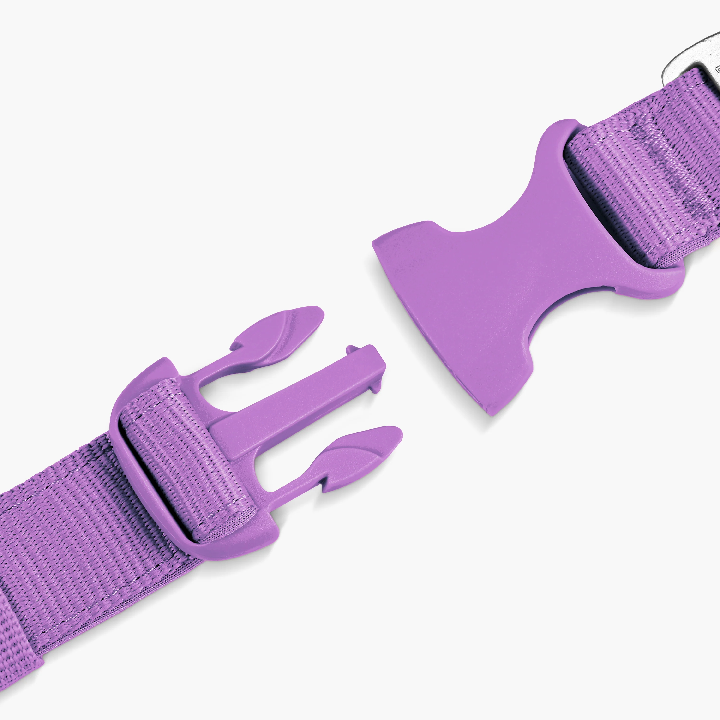 Essentials Collar - Purple - Image 3