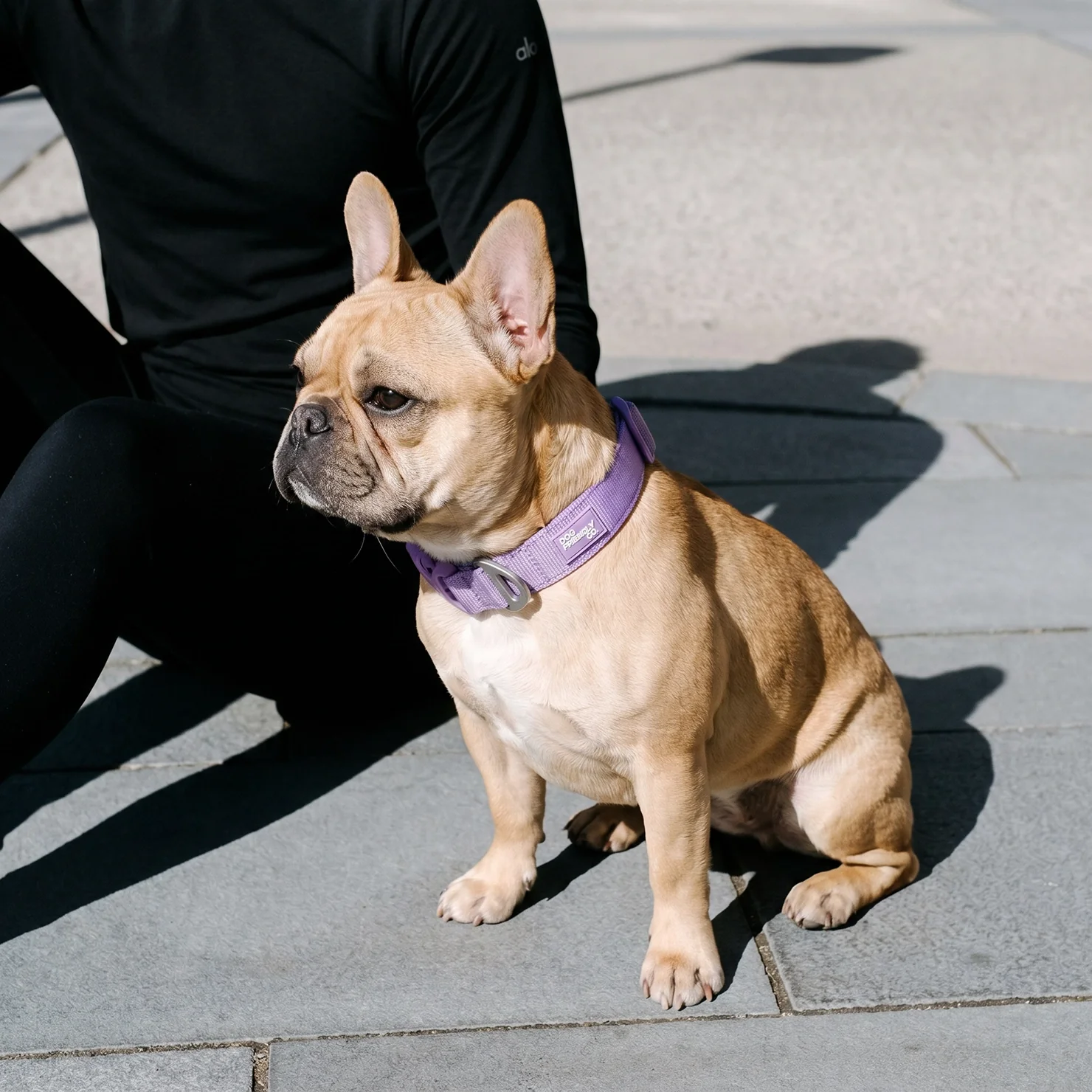 Essentials Collar - Purple - Image 8