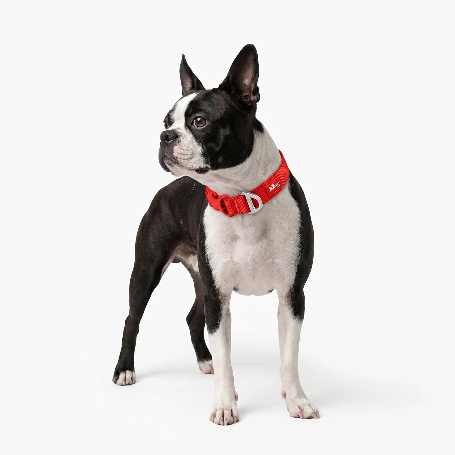 Essentials Collar - Red - Image 6