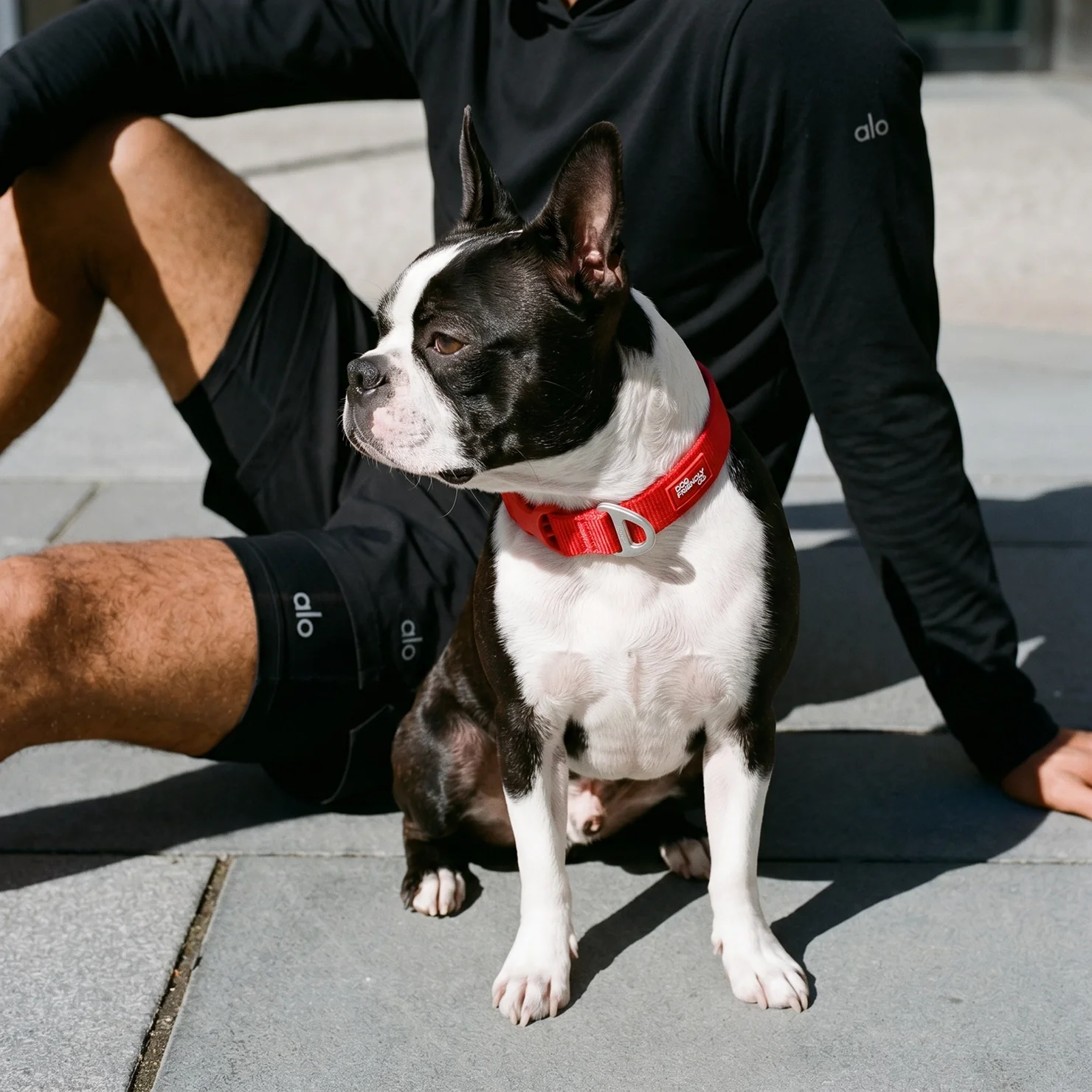 Essentials Collar - Red - Image 8