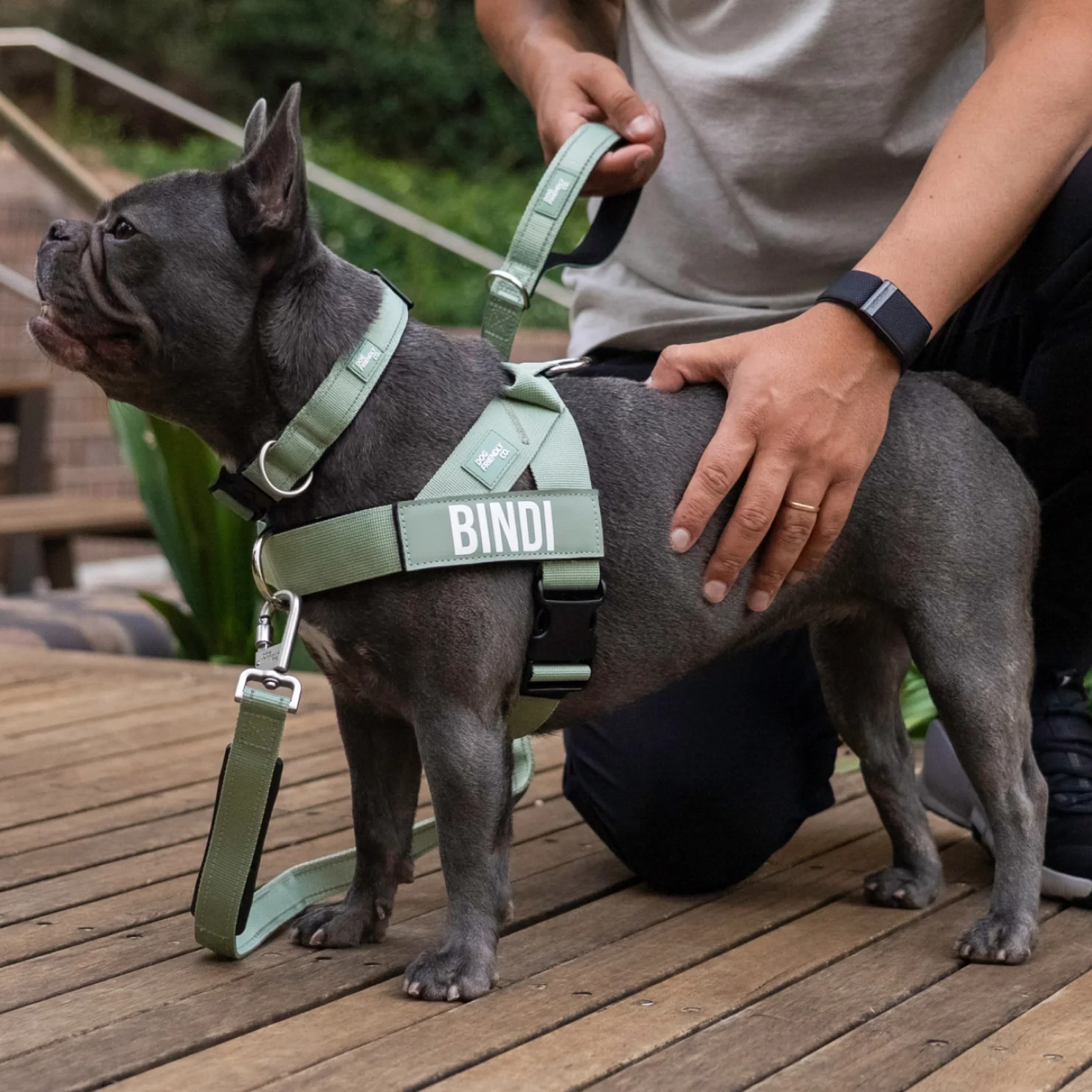 No-Pull D-Ring Harness Attachment - Image 4