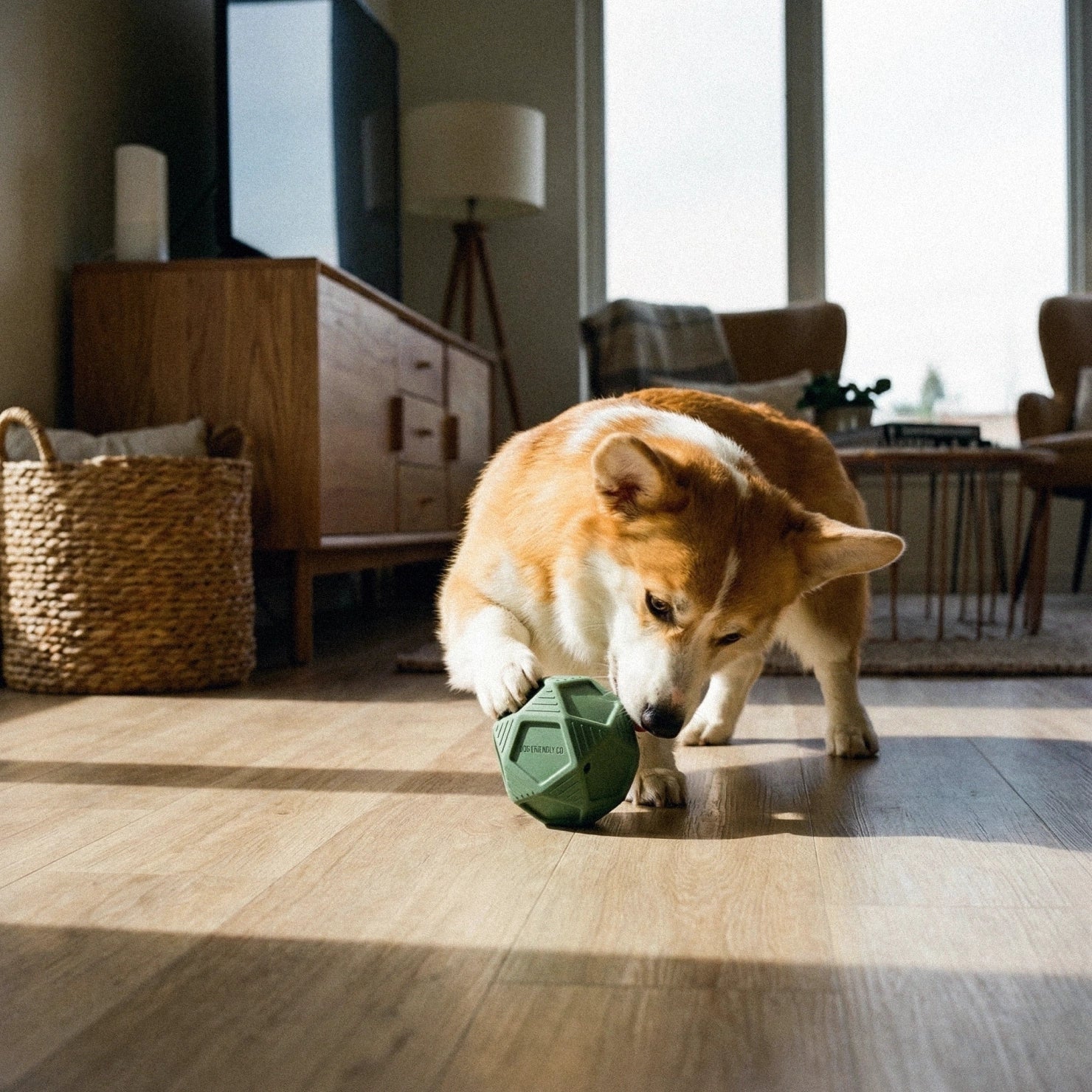Penta Ball - Image 5