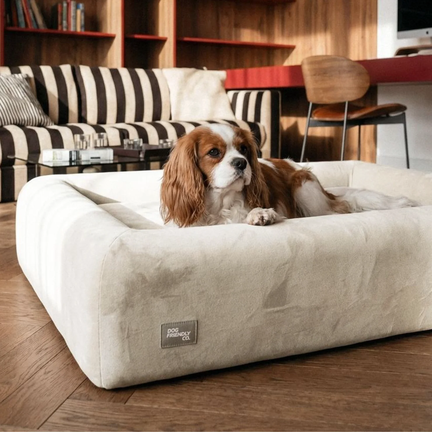Premium Orthopedic Memory Foam Dog Bed - Beige (Medium) (LP) - Image 6