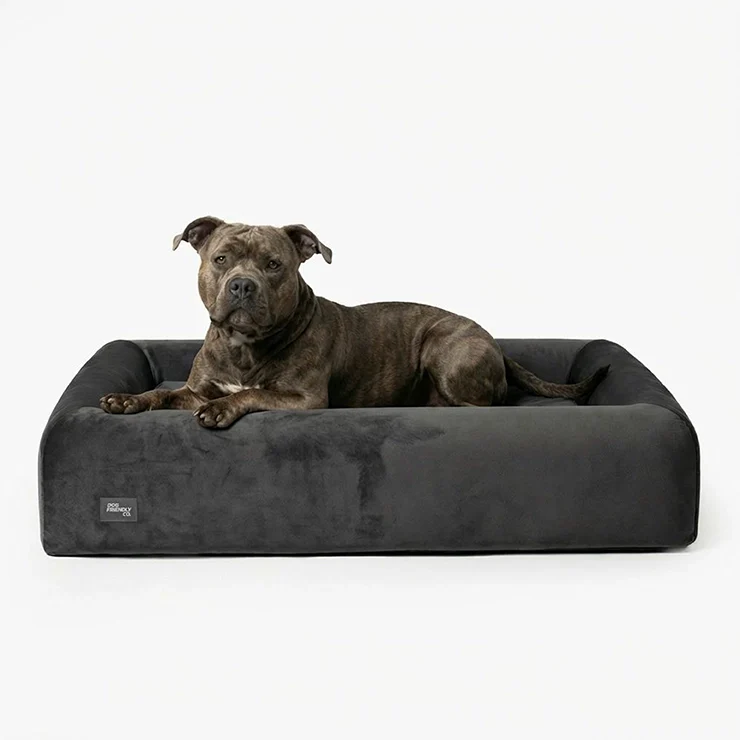 Premium Orthopedic Memory Foam Dog Bed - Charcoal (Large) (LP)