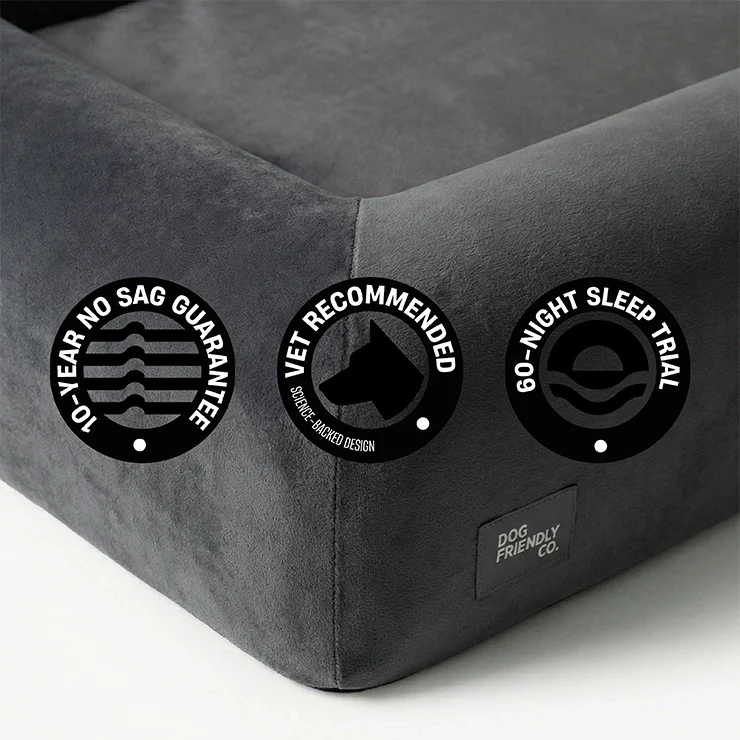 Premium Orthopedic Memory Foam Dog Bed - Charcoal (Large) (LP) - Image 10