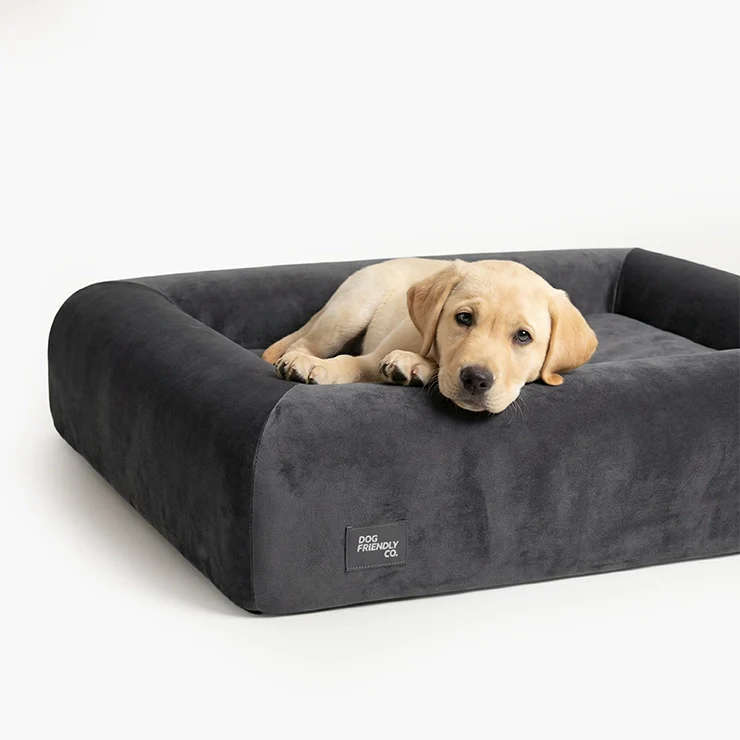 Premium Orthopedic Memory Foam Dog Bed - Charcoal (Large) (LP) - Image 2