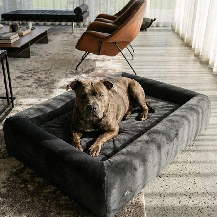Premium Orthopedic Memory Foam Dog Bed - Charcoal - Image 5