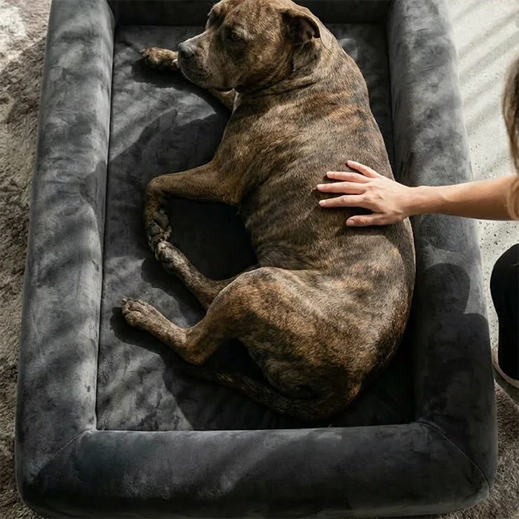 Premium Orthopedic Memory Foam Dog Bed - Charcoal - Image 6