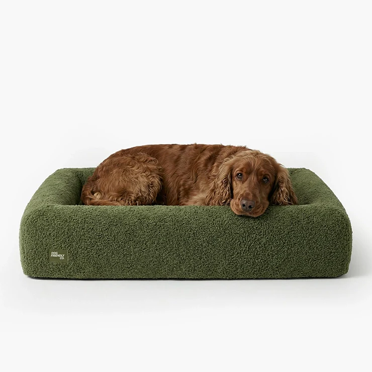 Premium Orthopedic Memory Foam Dog Bed - Green Bouclé (Medium) (LP)