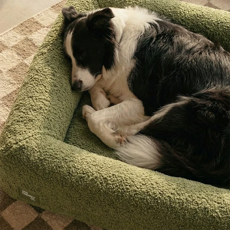Premium Orthopedic Memory Foam Dog Bed - Green Bouclé (Medium) (LP) - Image 6