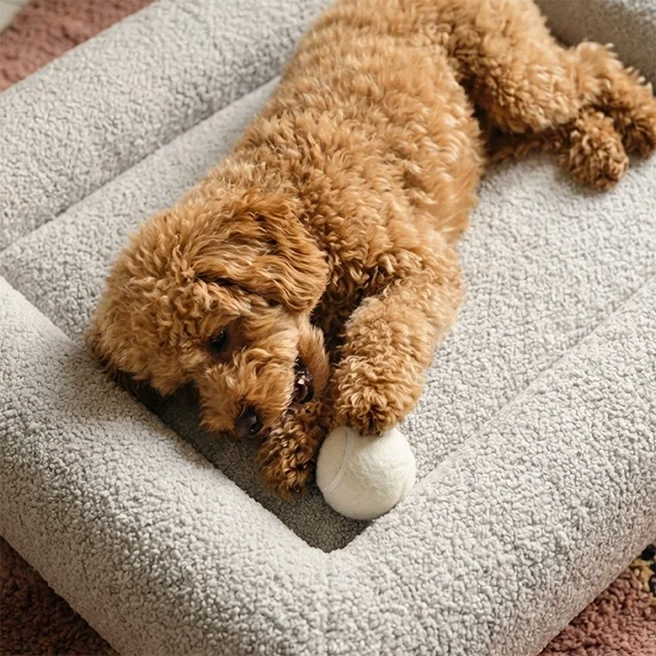 Premium Orthopedic Memory Foam Dog Bed - Grey Bouclé (Large) (LP) - Image 6