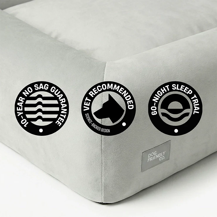 Premium Orthopedic Memory Foam Dog Bed - Grey (Small) (LP) - Image 10