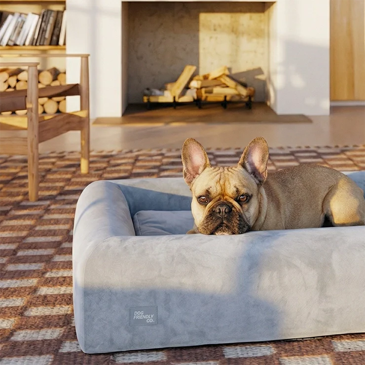 Premium Orthopedic Memory Foam Dog Bed - Grey (Small) (LP) - Image 6