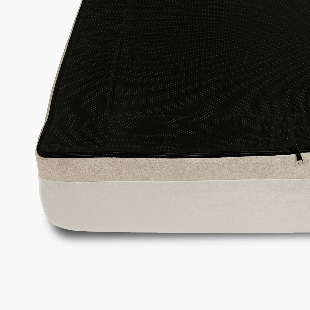 Replacement Cover - Champagne - Image 3