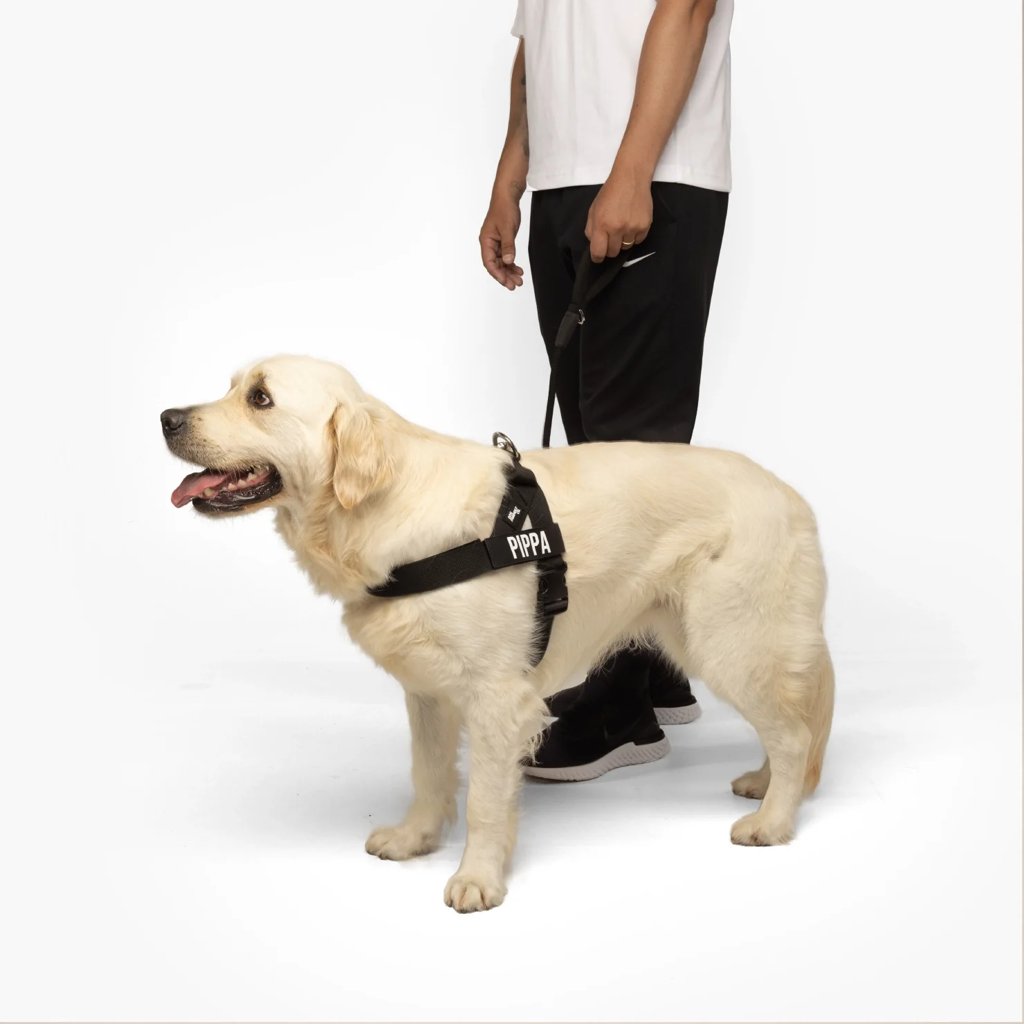 Signature Kit - Black - Image 11