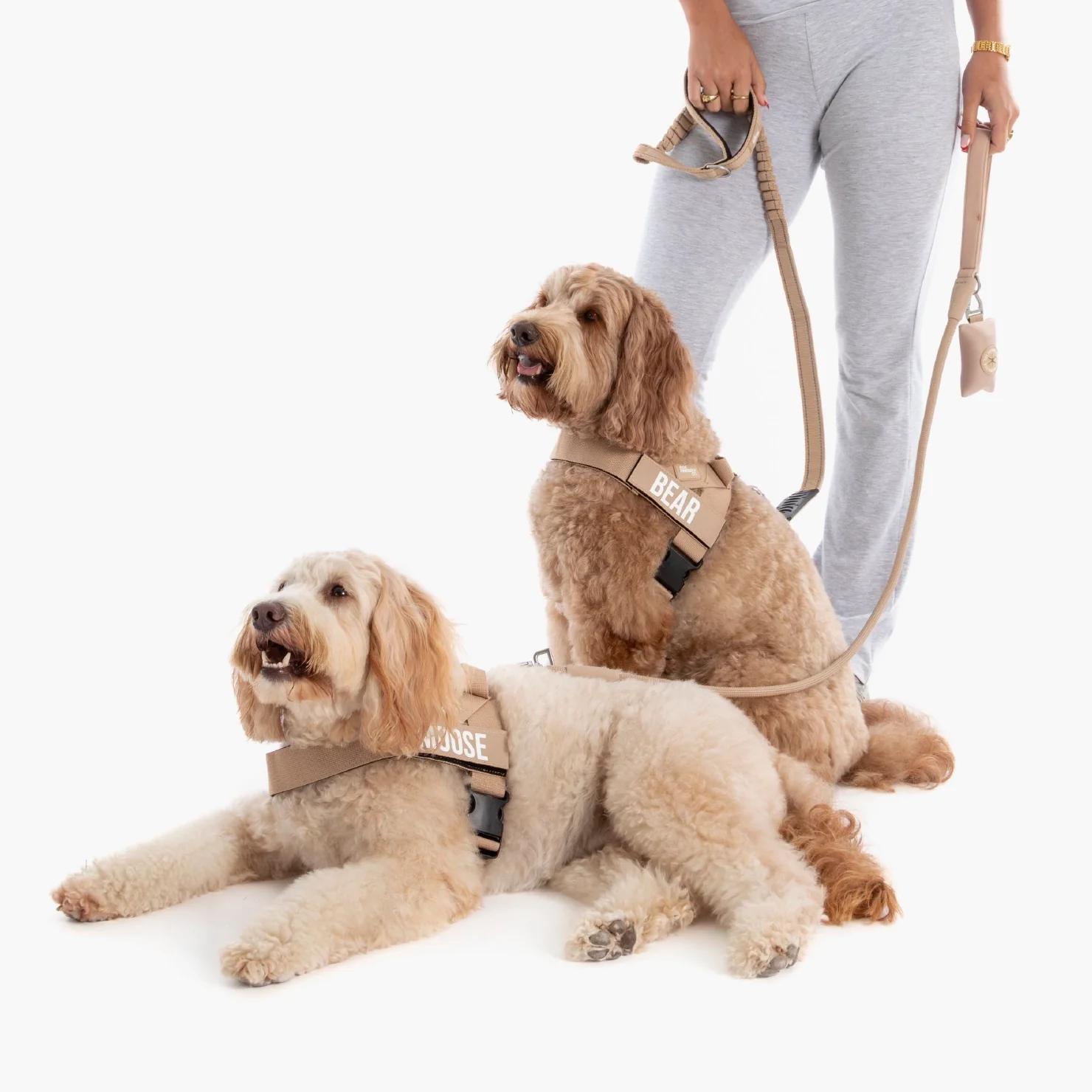 Signature Kit - Brown - Image 18