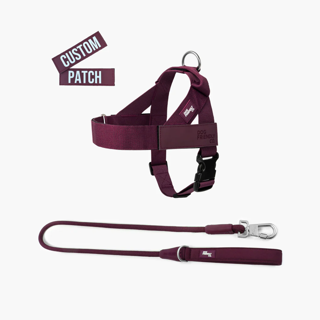Signature Kit - Burgundy - Image 16