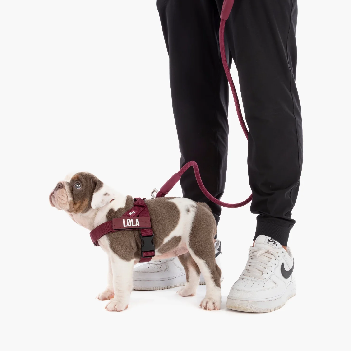 Signature Kit - Burgundy - Image 5