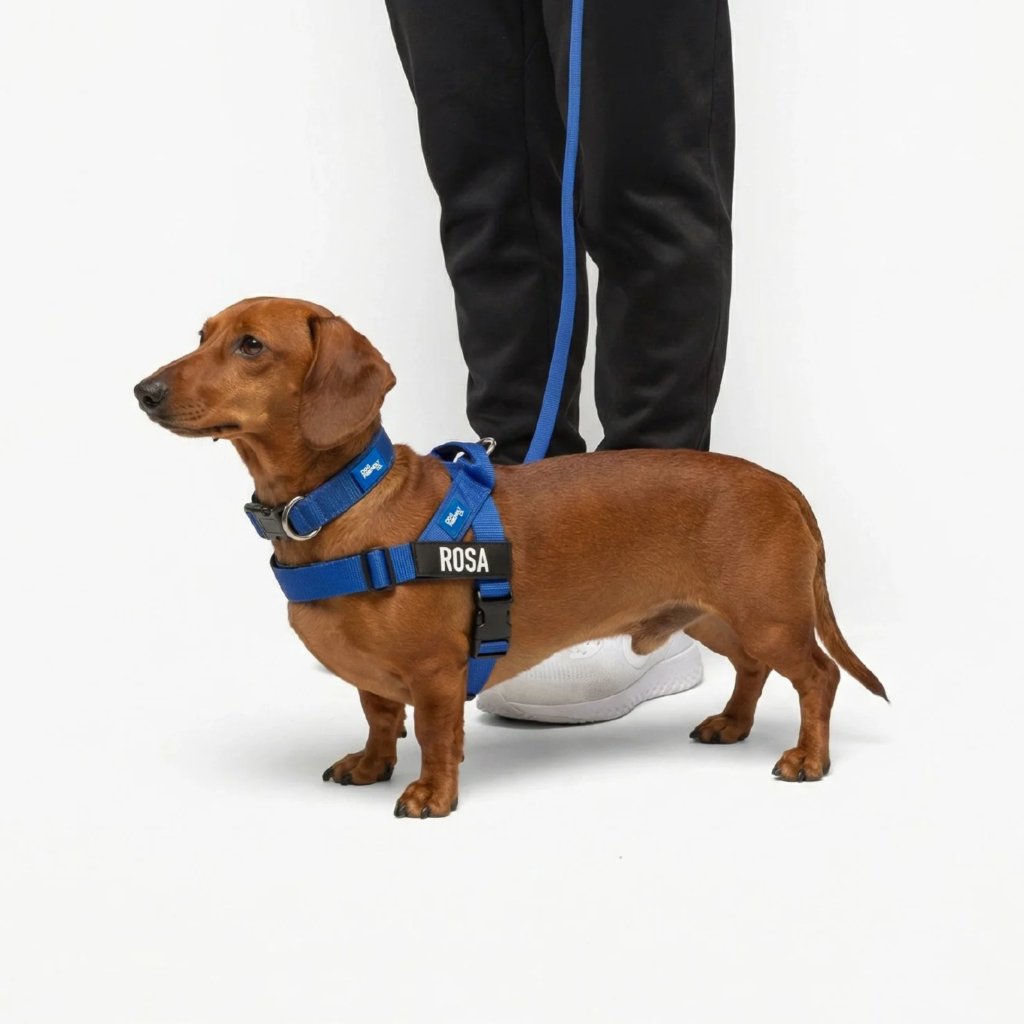Signature Kit - Classic Blue - Image 12