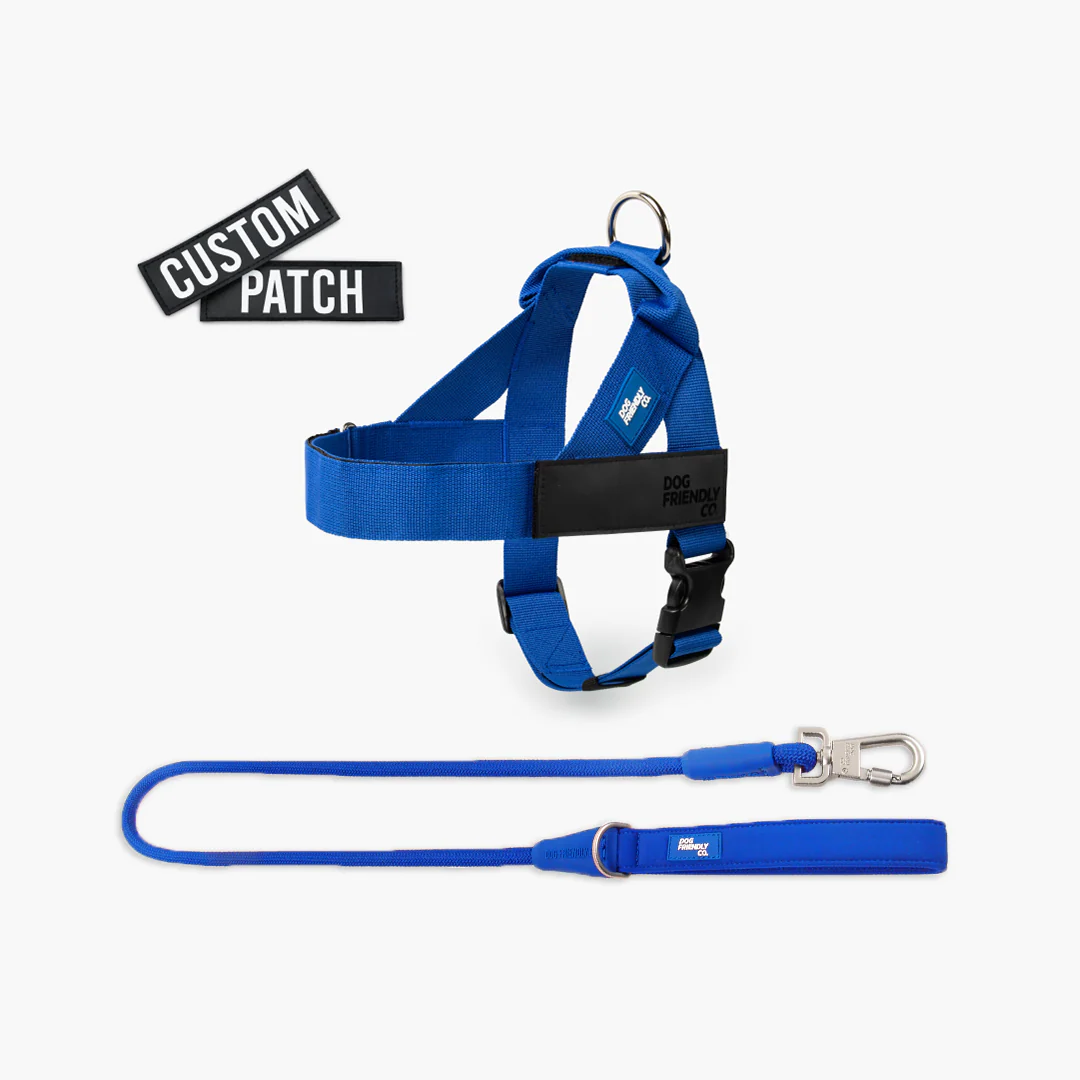 Signature Kit - Classic Blue - Image 16