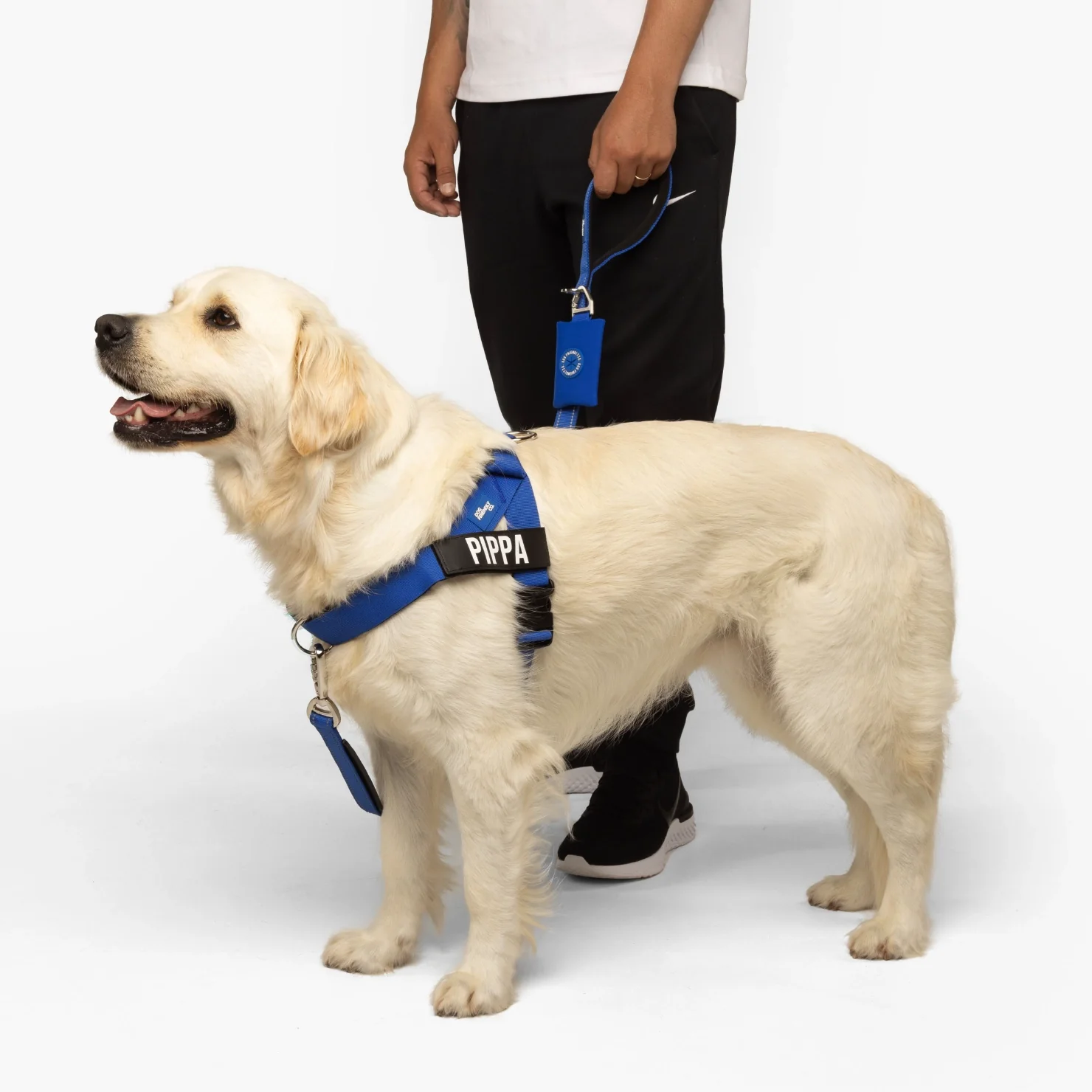 Signature Kit - Classic Blue - Image 18