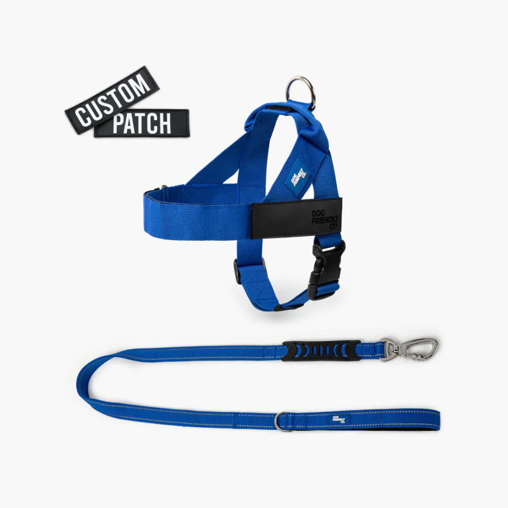 Signature Kit - Classic Blue - Image 9