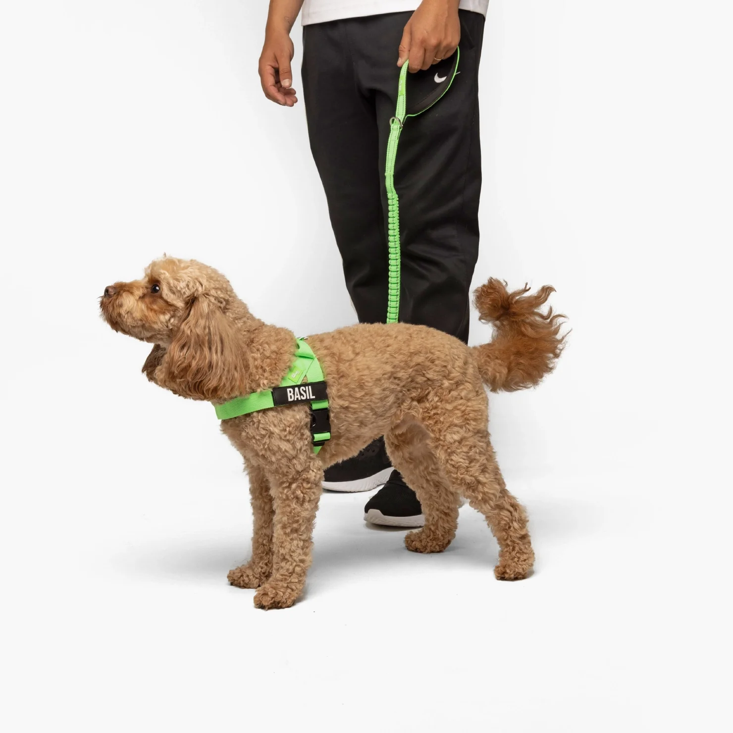 Signature Kit - Neon Green - FREE D-Ring - Image 11