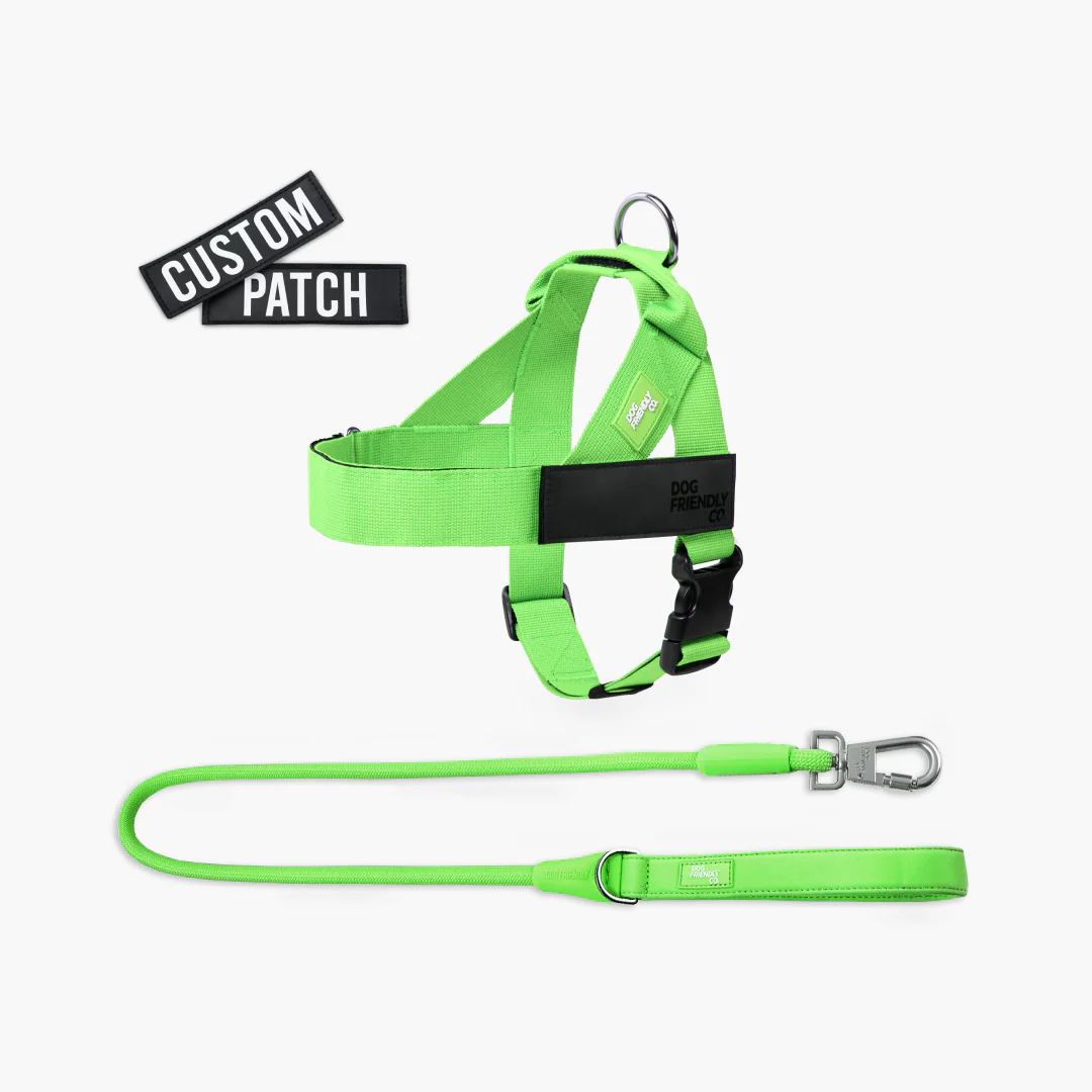 Signature Kit - Neon Green - FREE D-Ring - Image 16