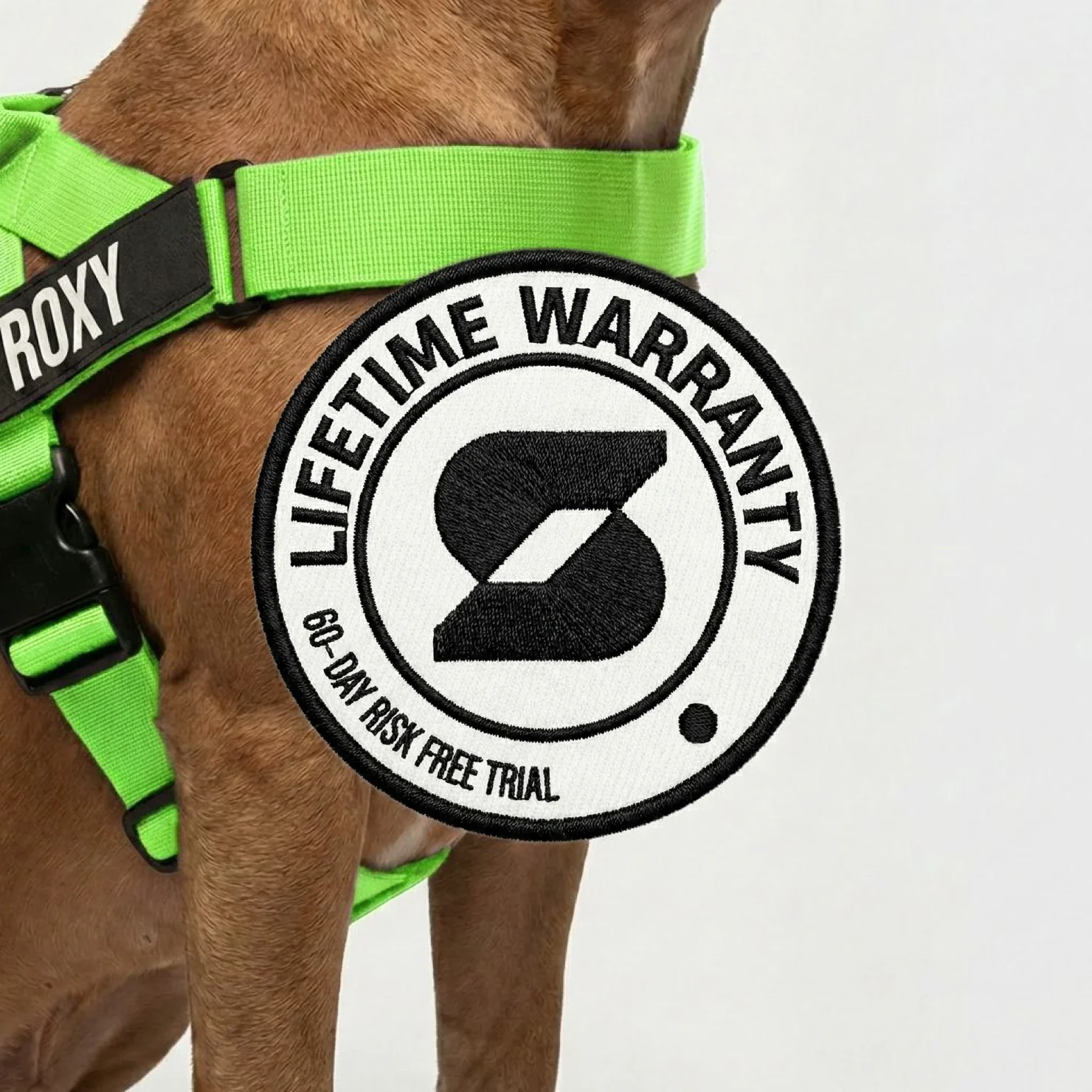Signature Kit - Neon Green - FREE D-Ring - Image 22