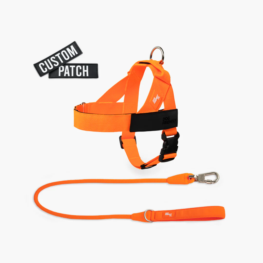 Signature Kit - Orange - Image 16