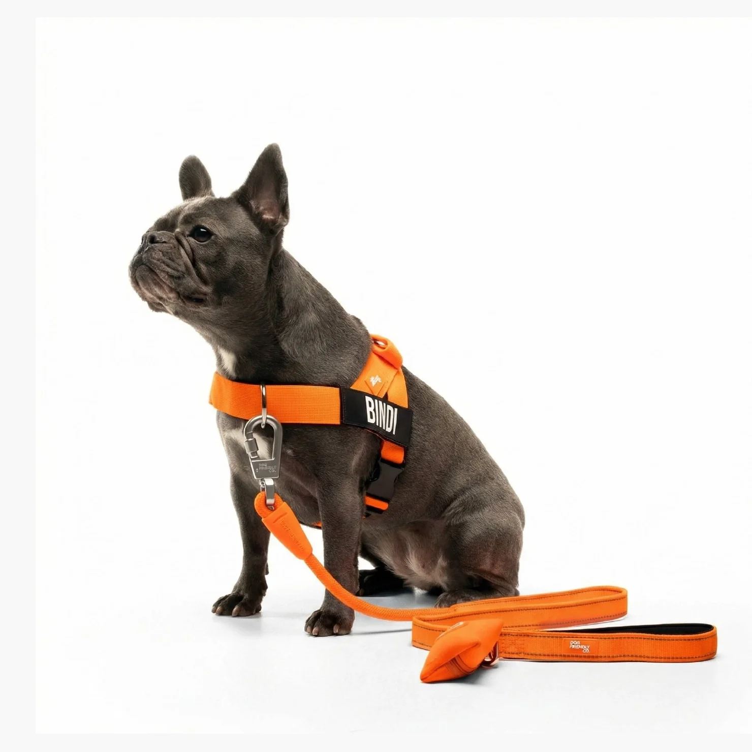 Signature Kit - Orange - Image 19