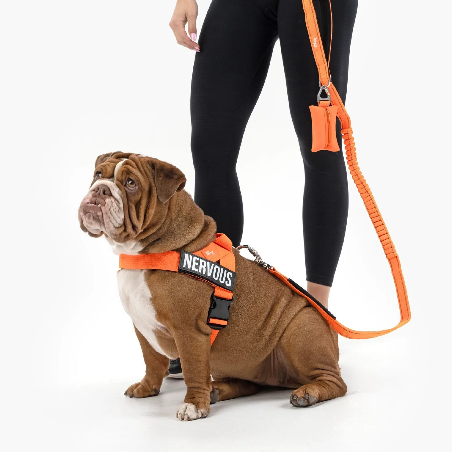 Signature Kit - Orange - Image 4
