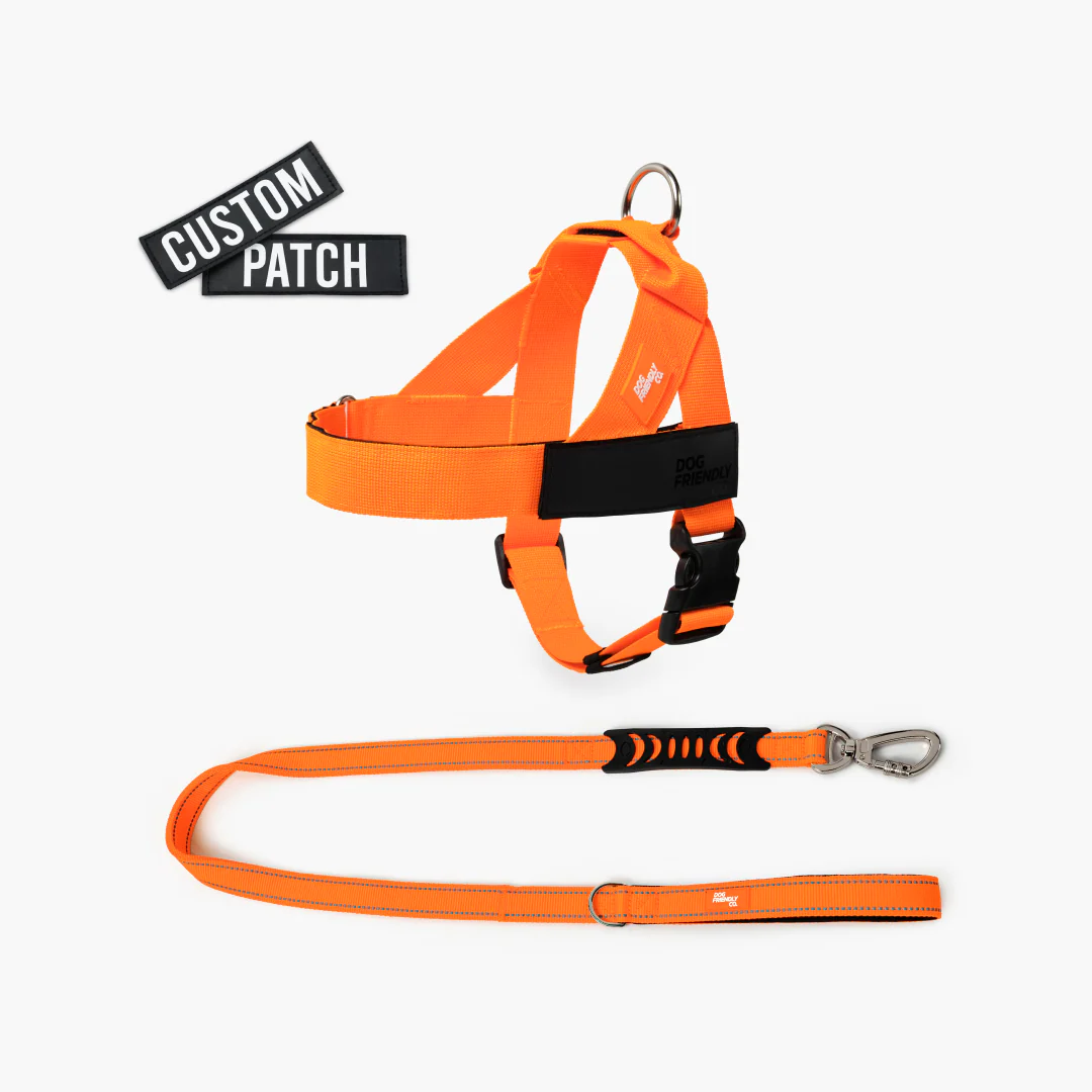 Signature Kit - Orange - Image 9