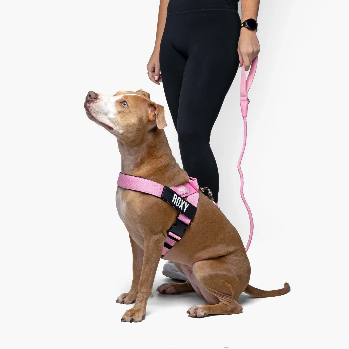 Signature Kit - Pink - Image 4