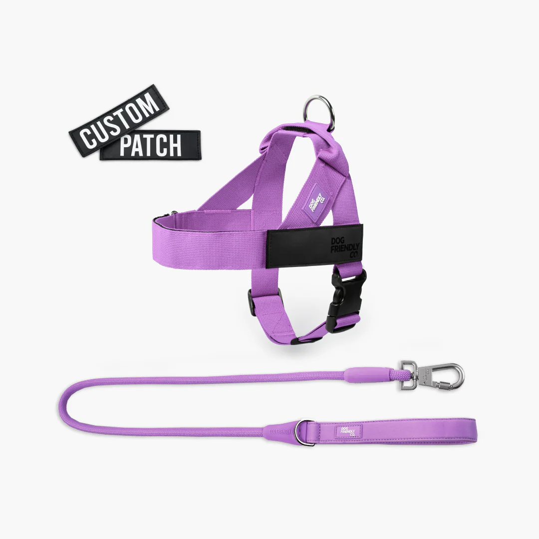 Signature Kit - Purple - Image 14