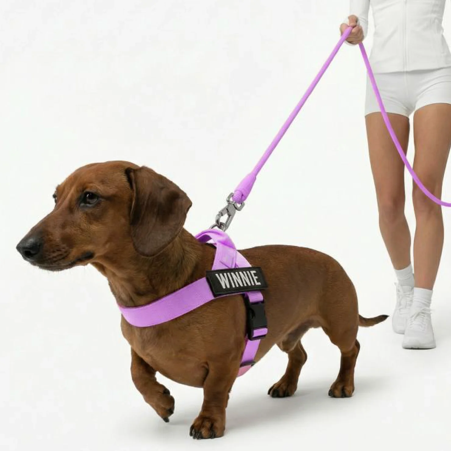 Signature Kit - Purple - Image 5