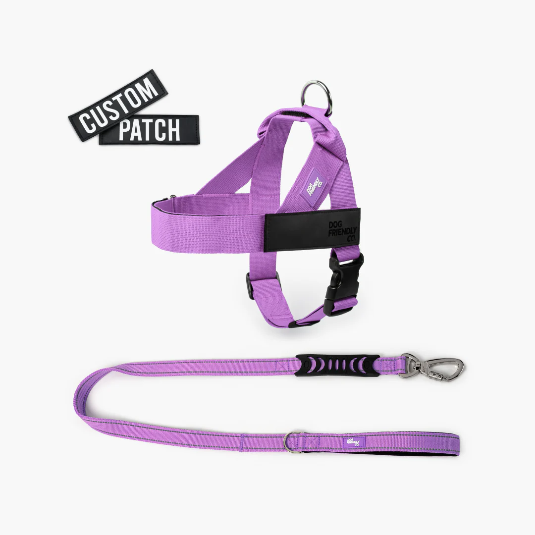 Signature Kit - Purple - Image 7