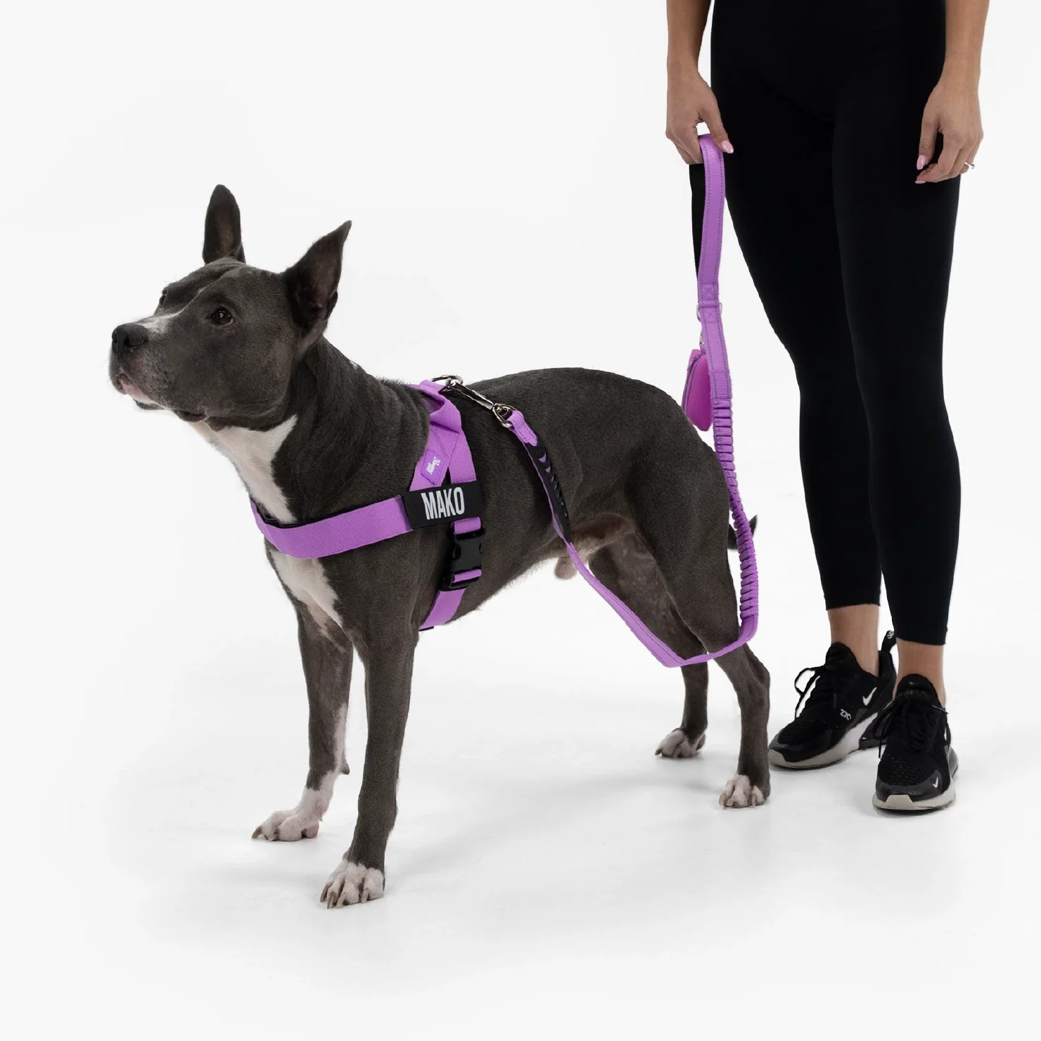 Signature Kit - Purple - Image 9
