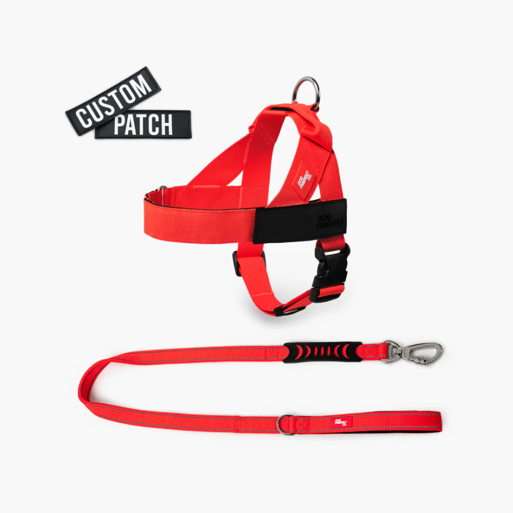 Signature Kit - Red - FREE D-Ring - Image 9