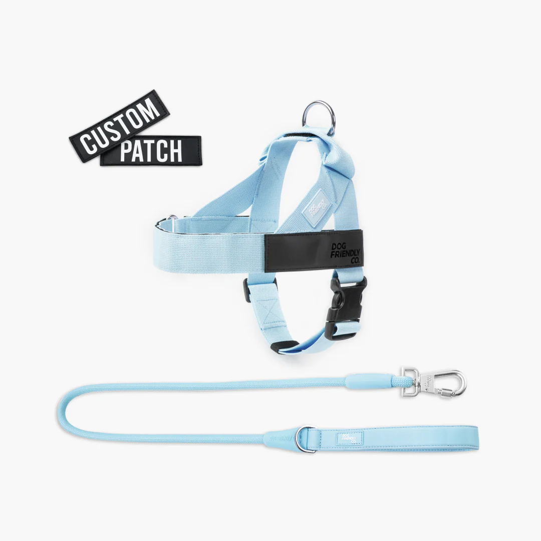 Signature Kit - Sky Blue - Image 16