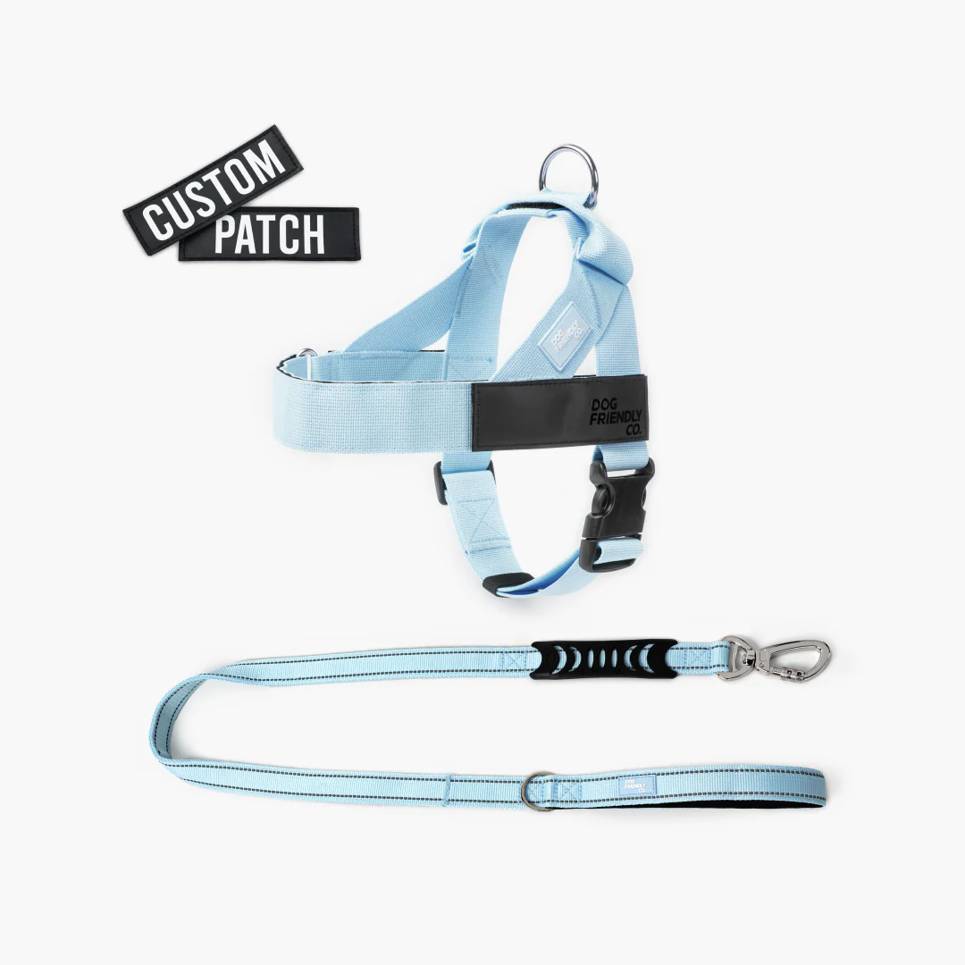 Signature Kit - Sky Blue - Image 9